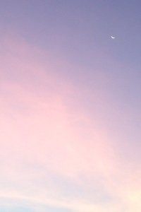 欢迎使用Z-BlogPHP！