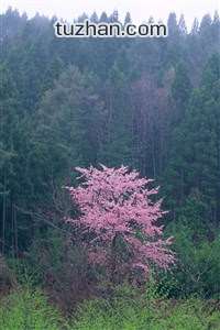 欢迎使用Z-BlogPHP！